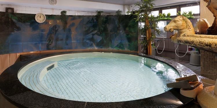 水風呂の雰囲気：サウナ&カプセルホテル レインボー新小岩店
